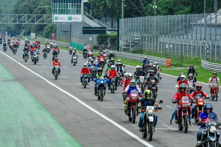 Federmoto