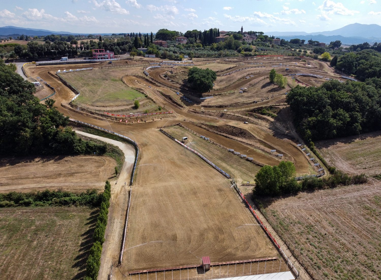 rookies cup 85