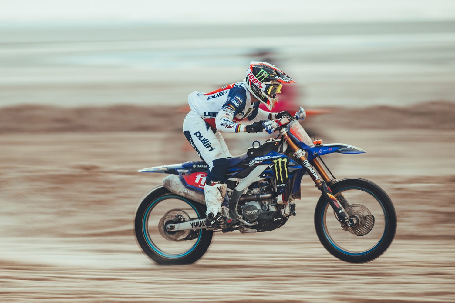 sand race bibione