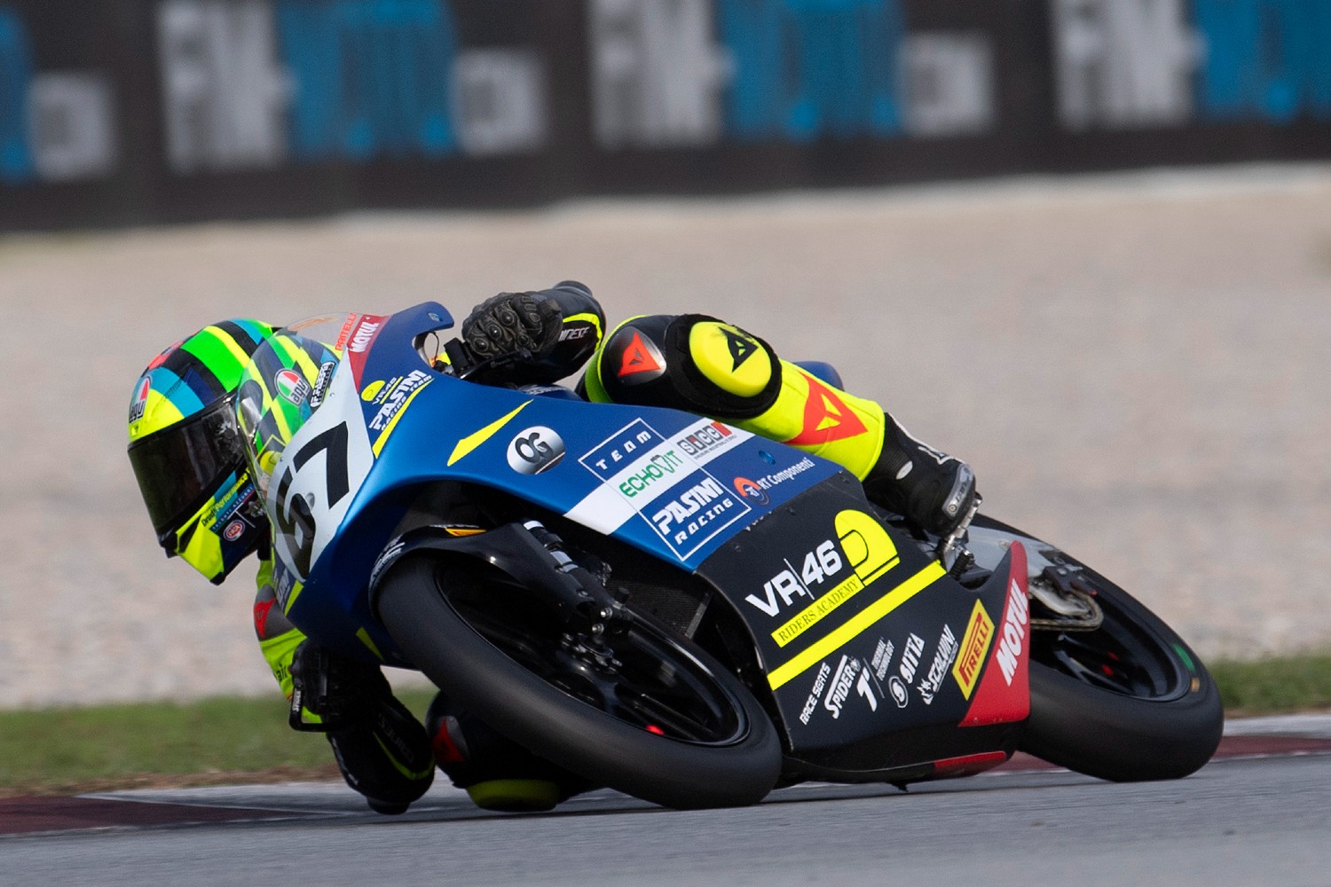 pata talenti azzurri fmi