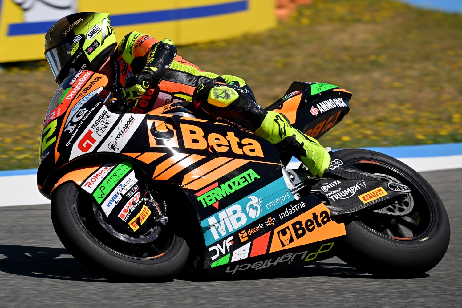 pata talenti azzurri fmi