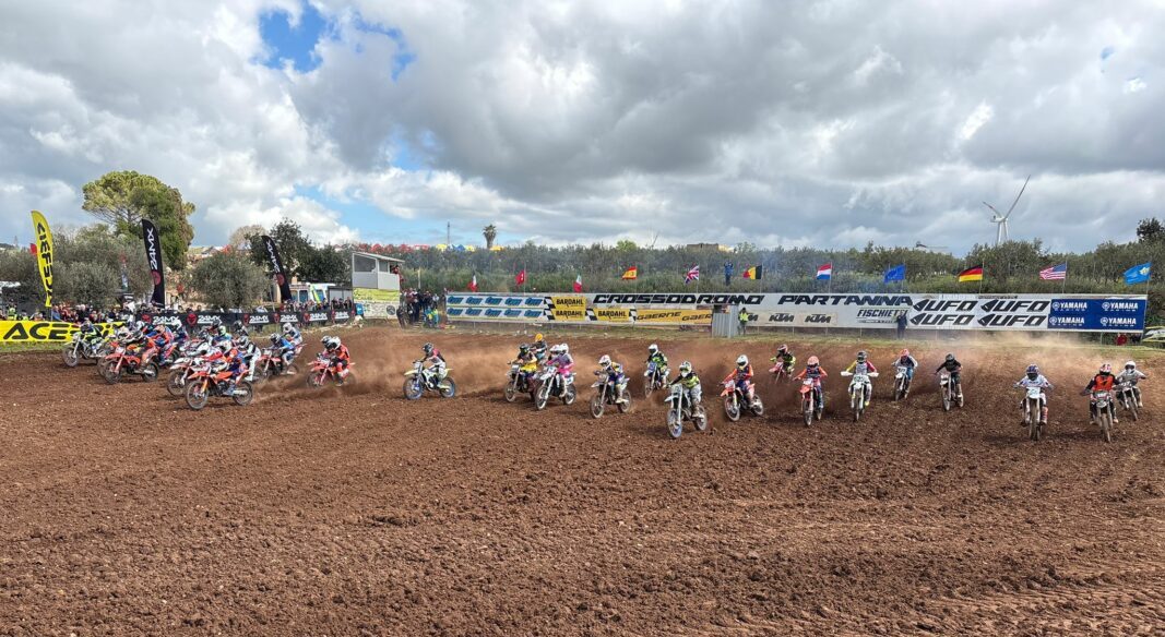 mx junior