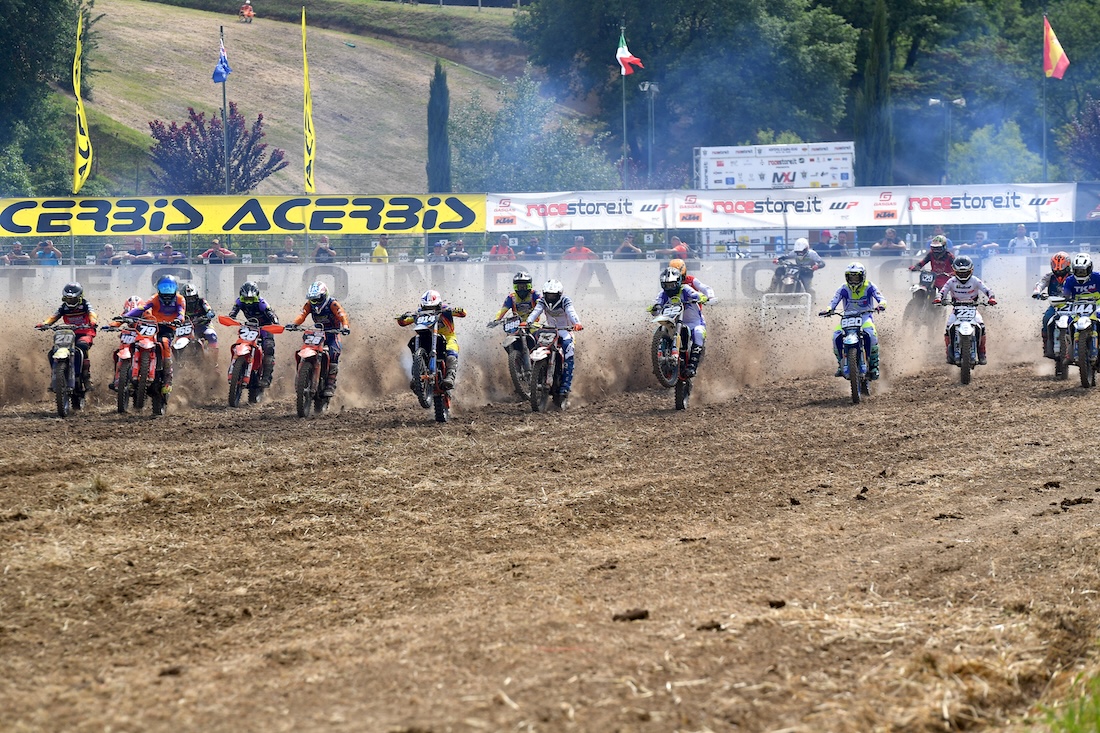 mx junior