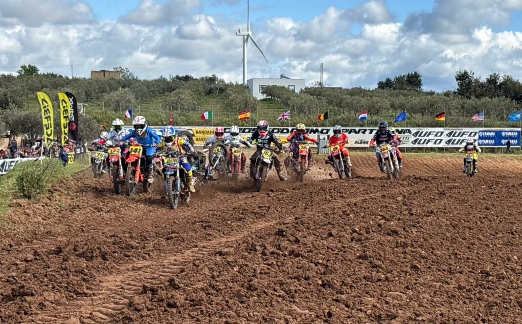 mx junior