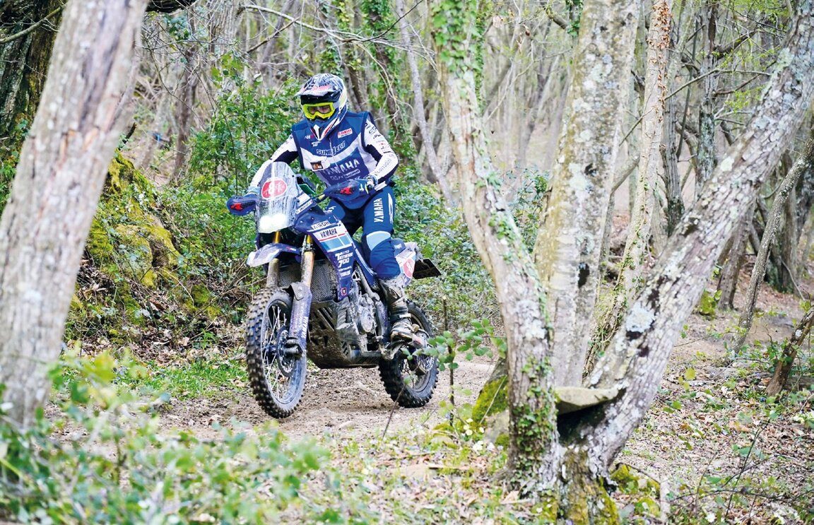 motorally