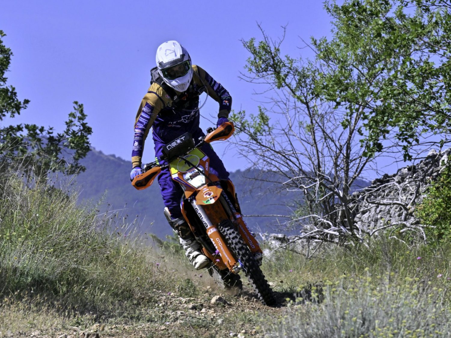 raid tt 2026