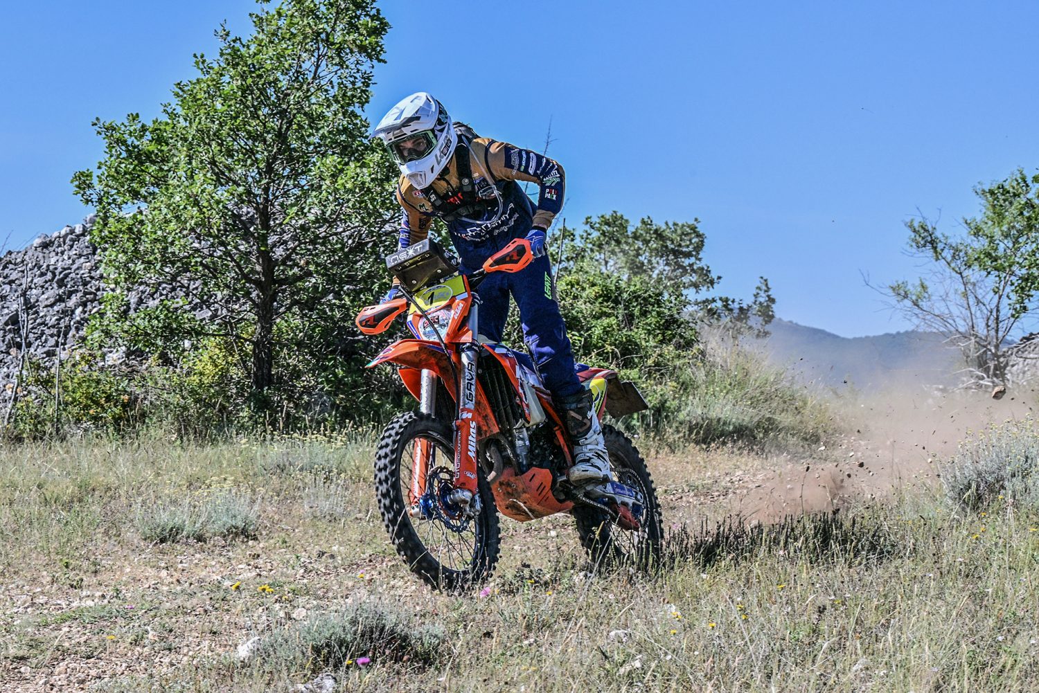 rally d'abruzzo 2026