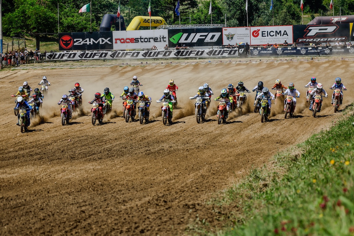 mx junior