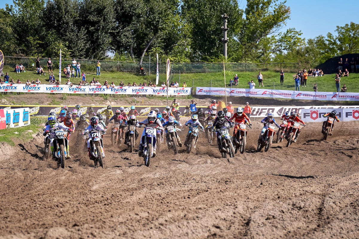 mx junior